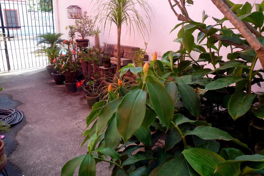Casa De La Luz - Studio Apartment Tlacotalpan Szoba fotó